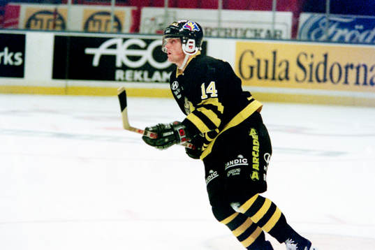 Niclas Hävelid, AIK