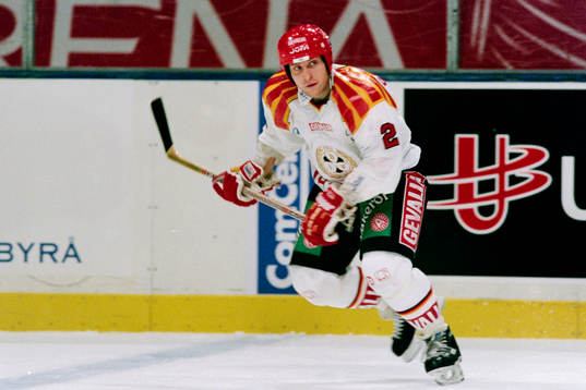 Bedrich Scerban, Brynäs