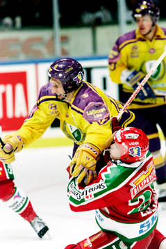 Sergei Fokin, Färjestad