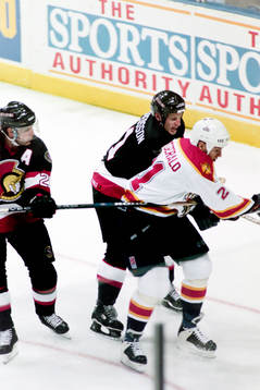 Daniel Alfredsson, Ottawa Senators