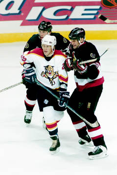 Johan Garpenlöv, Panthers