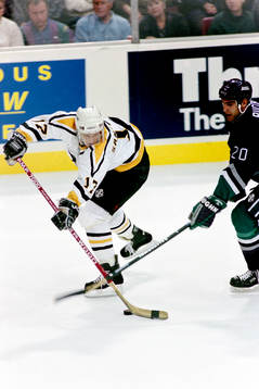 Ishockey, NHL, Pittsburgh Penguins - Anaheim Mighty Ducks,