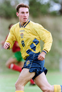 Björn Enqvist, Sverige