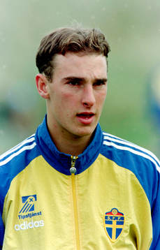 Björn Enqvist, Sverige