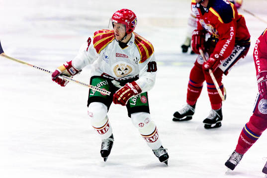 Anders Dackell, Brynäs