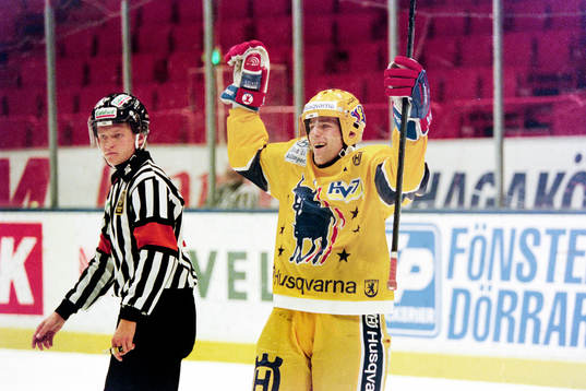 Stefan Falk, HV71 jublar