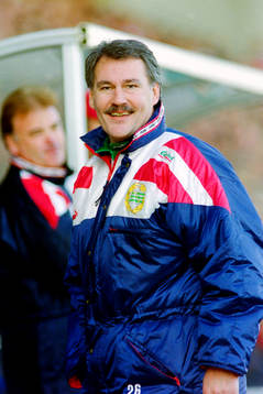 Tommy Davidsson, Tränare i Hammarby
