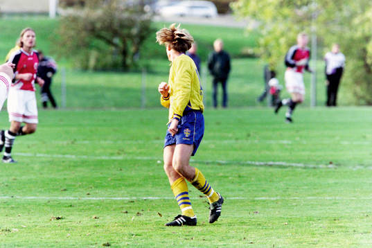 Jesper Blomqvist, Sverige