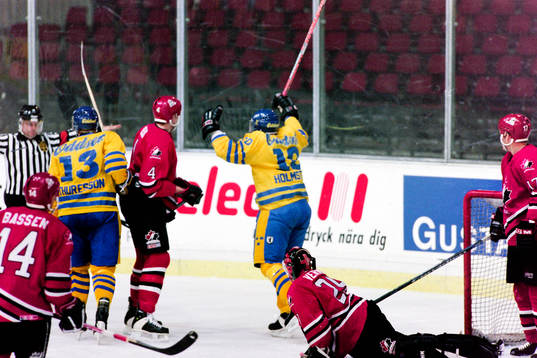 Tomas Holmström, Sverige jublar