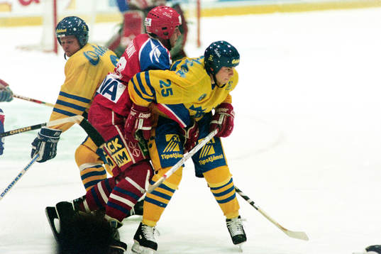 Robert Burakovsky, Sverige
