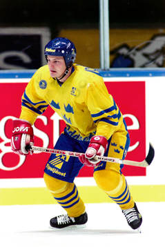 Mattias Timander, Sverige