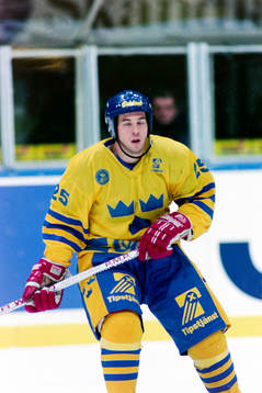 Robert Burakovsky, Sverige