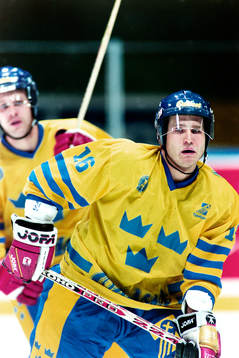 Mikael Wahlberg, Sverige