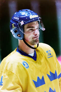 Jonas Höglund, Sverige