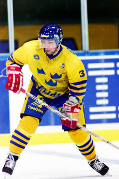 Mikael Lindman, Sverige