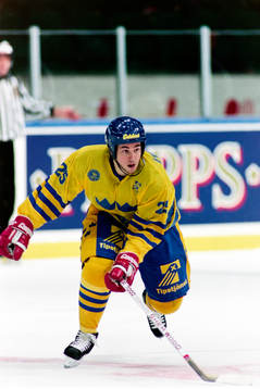 Robert Burakovsky, Sverige