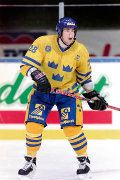 Roger Åkerström, Sverige