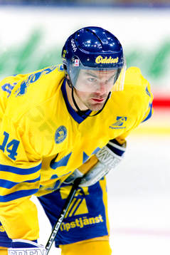 Jonas Höglund, Sverige