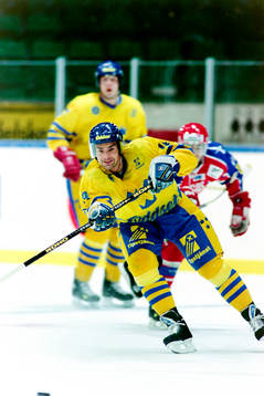 Jonas Höglund, Sverige
