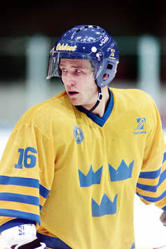 Mikael Wahlberg, Sverige