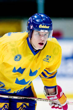 Fredrik Modin, Sverige