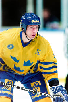 Roger Johansson, Sverige