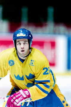 Robert Burakovsky, Sverige