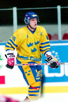 Mikael Wahlberg, Sverige