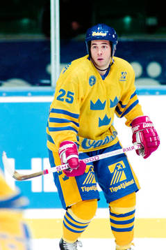 Robert Burakovsky, Sverige