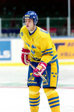 Fredrik Modin, Sverige