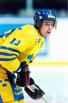 Tomas Holmström, Sverige