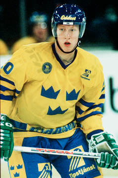 Jörgen Jönsson, Sverige