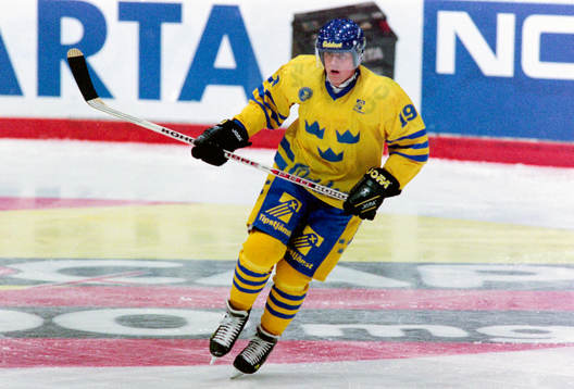 Mattias Lööf, Sverige