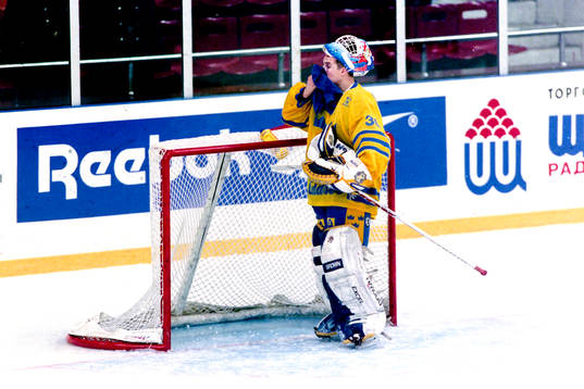 Johan Hedberg, målvakt i Sverige deppar