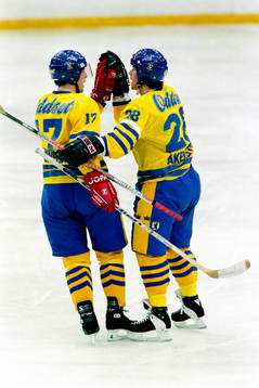 Hans Jonsson och Roger Åkerström, Sverige