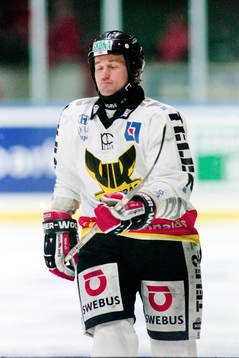 Alexei Salomatin, Västerås