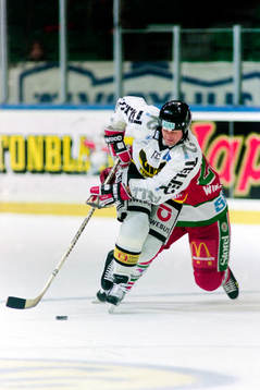 Alexei Salomatin, Västerås