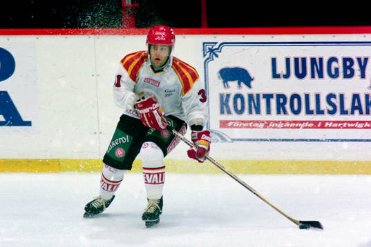 Peter Larsson, Brynäs