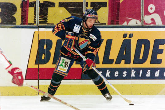 Mikael Magnusson, Djurgården