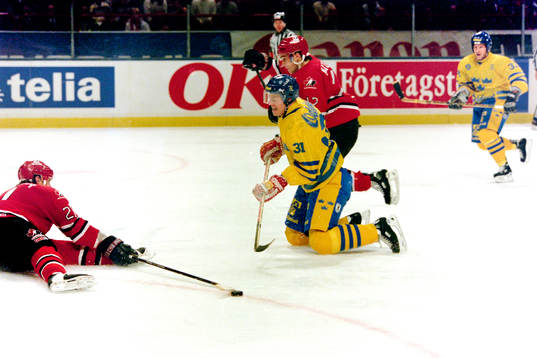 Fredrik Modin, Sverige
