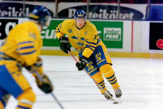 Mattias Öhlund, Sverige
