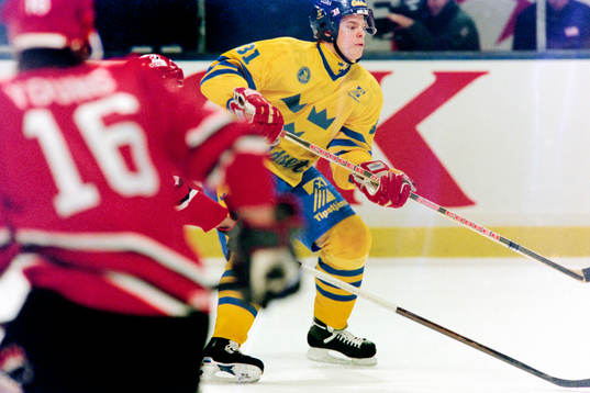 Fredrik Modin, Sverige