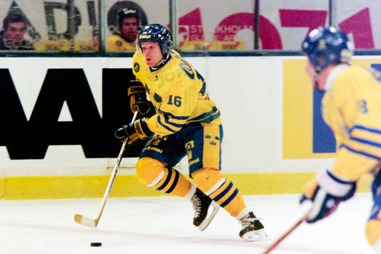 Niklas Eriksson, Sverige