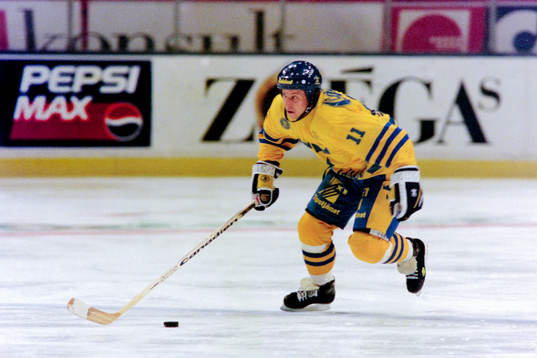 Fredrik Öberg, Sverige
