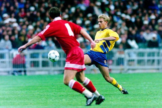 Niclas Alexandersson, Sverige