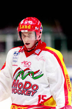 Frantisek Kaberle, Modo