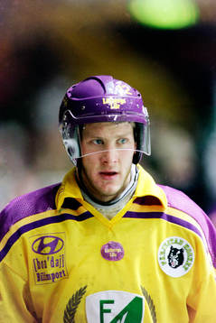 Magnus Arvedson, Färjestad