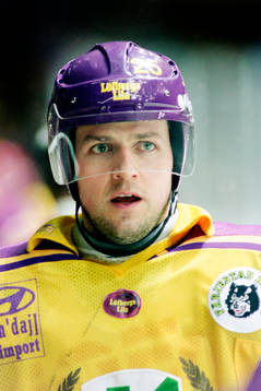 Thomas Rhodin, Färjestad