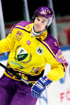 Jonas Höglund, Färjestad