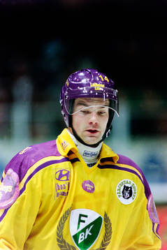 Jonas Höglund, Färjestad